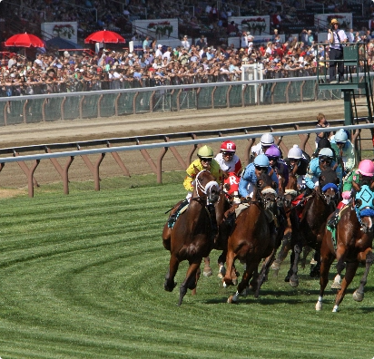 shutterstock 108374138@2x